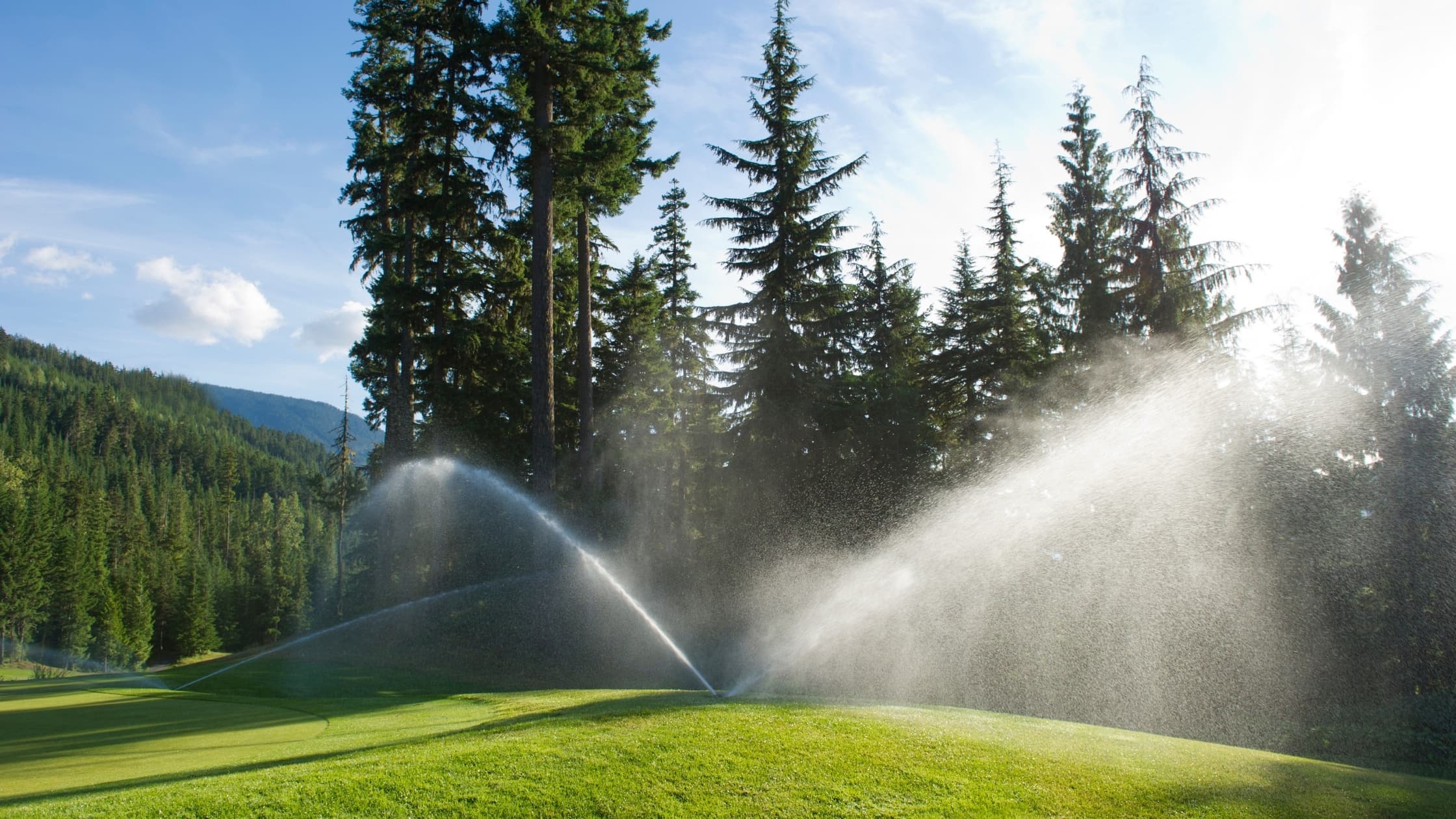 Comprehensive golf course maintenance guide - equipment management and member satisfaction